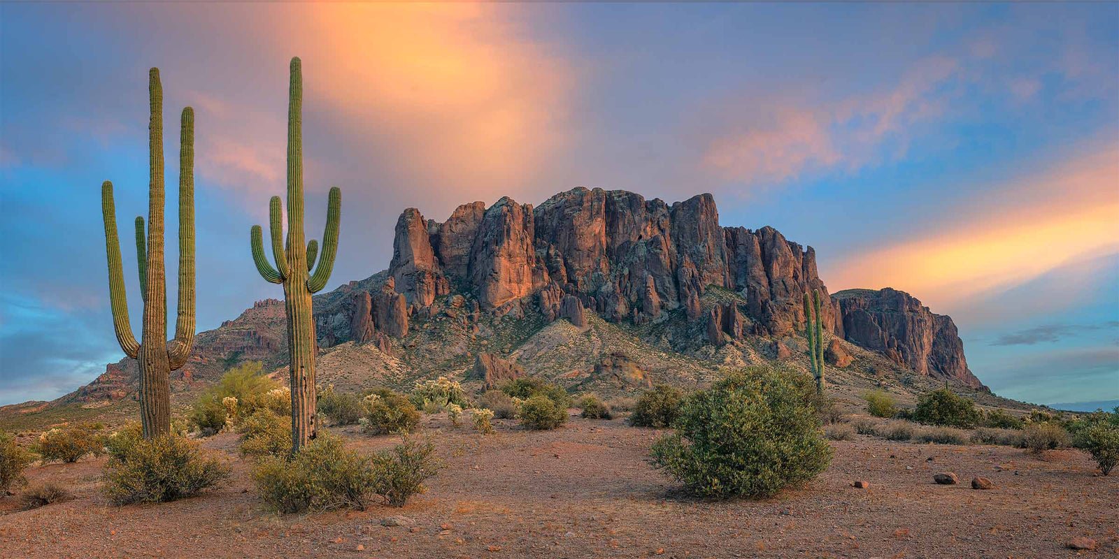 Evening light glowing on the cliffs of the Superstition Mountains above two saguaros, Arizona