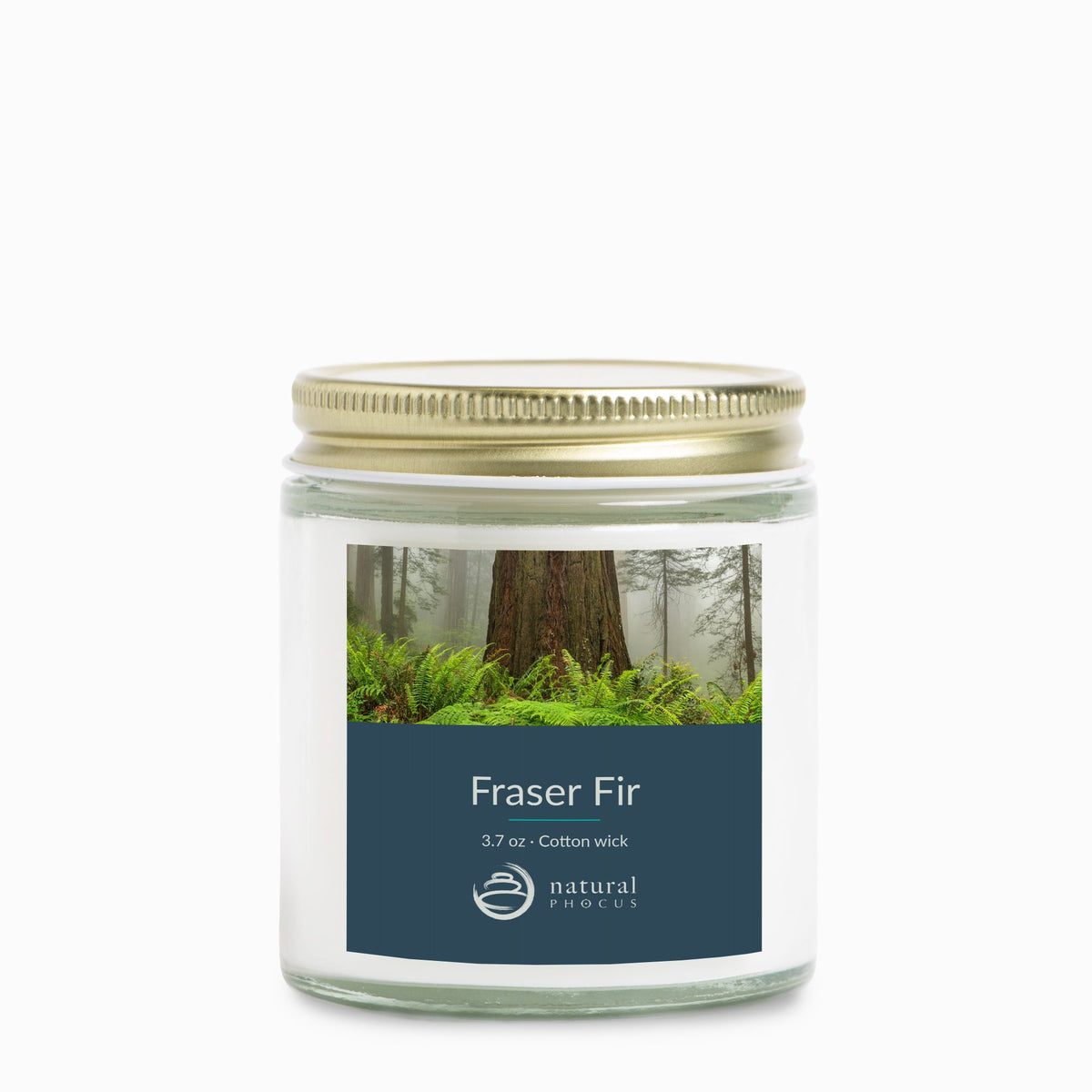 Rooted Mini Candle in Fraser Fir, a 4 oz clear glass jar candle with a gold lid, labeled with a photograph of a redwood trunk rising from ferns in the mist at Jedediah Smith Redwoods State Park, California