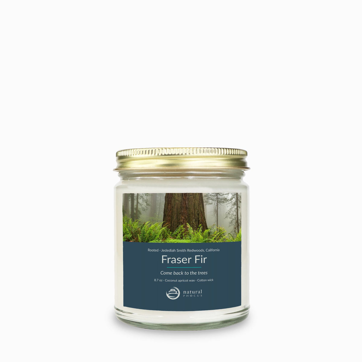 Rooted Candle in Fraser Fir, a clear glass jar candle with a gold lid, labeled with a photograph of a redwood trunk rising from ferns in the mist at Jedediah Smith Redwoods State Park, California