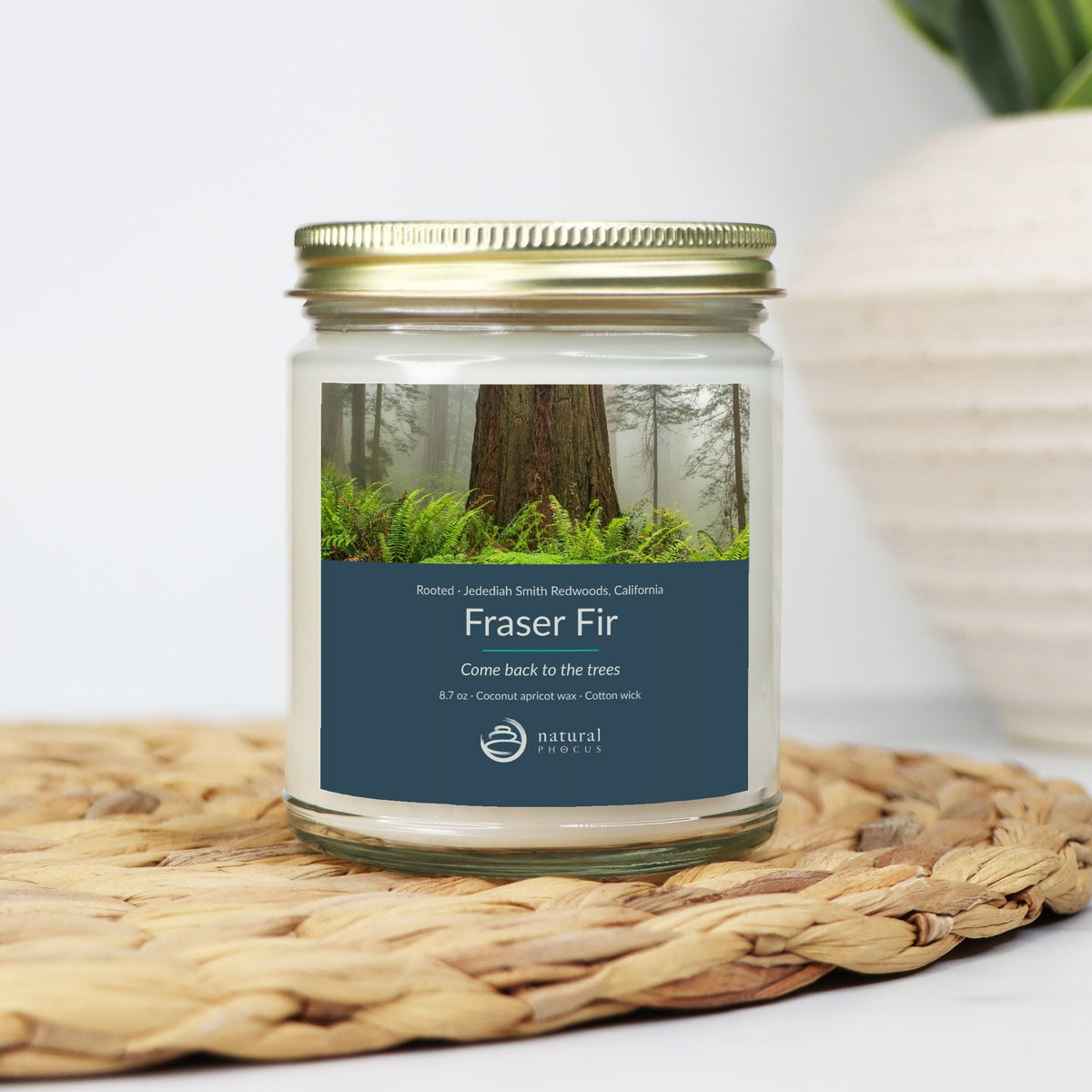 Rooted Candle in Fraser Fir, a clear glass jar candle with a gold lid, labeled with a photograph of a redwood trunk rising from ferns in the mist at Jedediah Smith Redwoods State Park, California