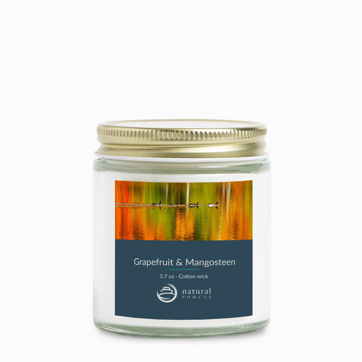 Painted Water Mini Candle in Grapefruit and Mangosteen, a 4 oz clear glass jar candle with a gold lid, labeled with a photograph of four geese swimming across autumn reflections at Echo Lake State Park, New Hampshire