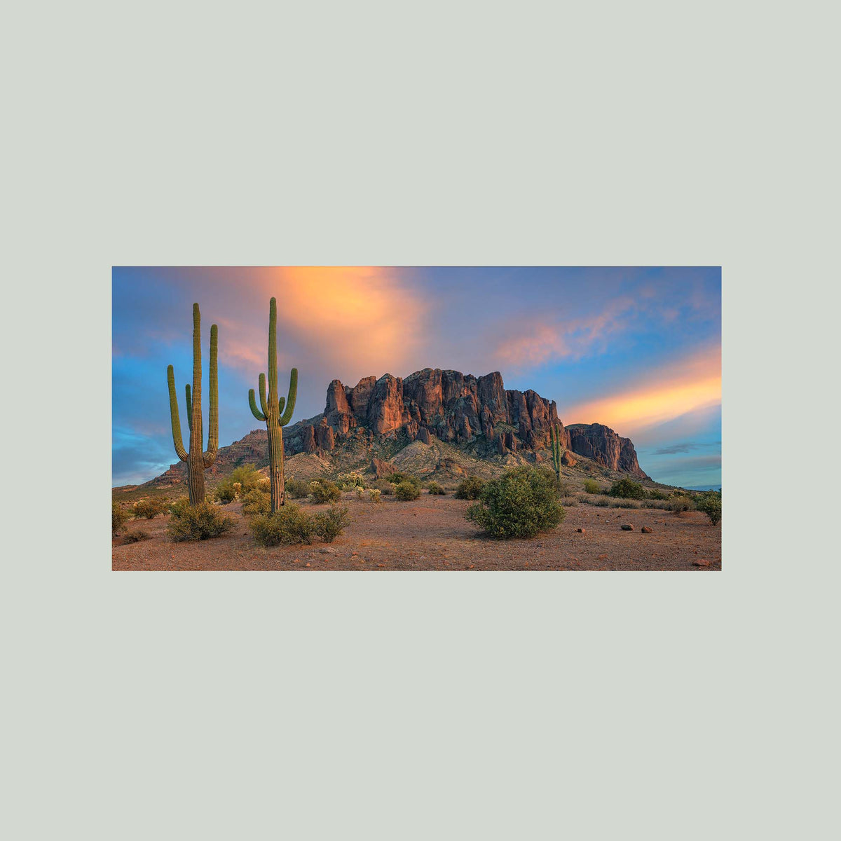 The Gold Was Always Here, saguaro cacti before the Superstition Mountains glowing at sunset in Arizona, as an unframed print