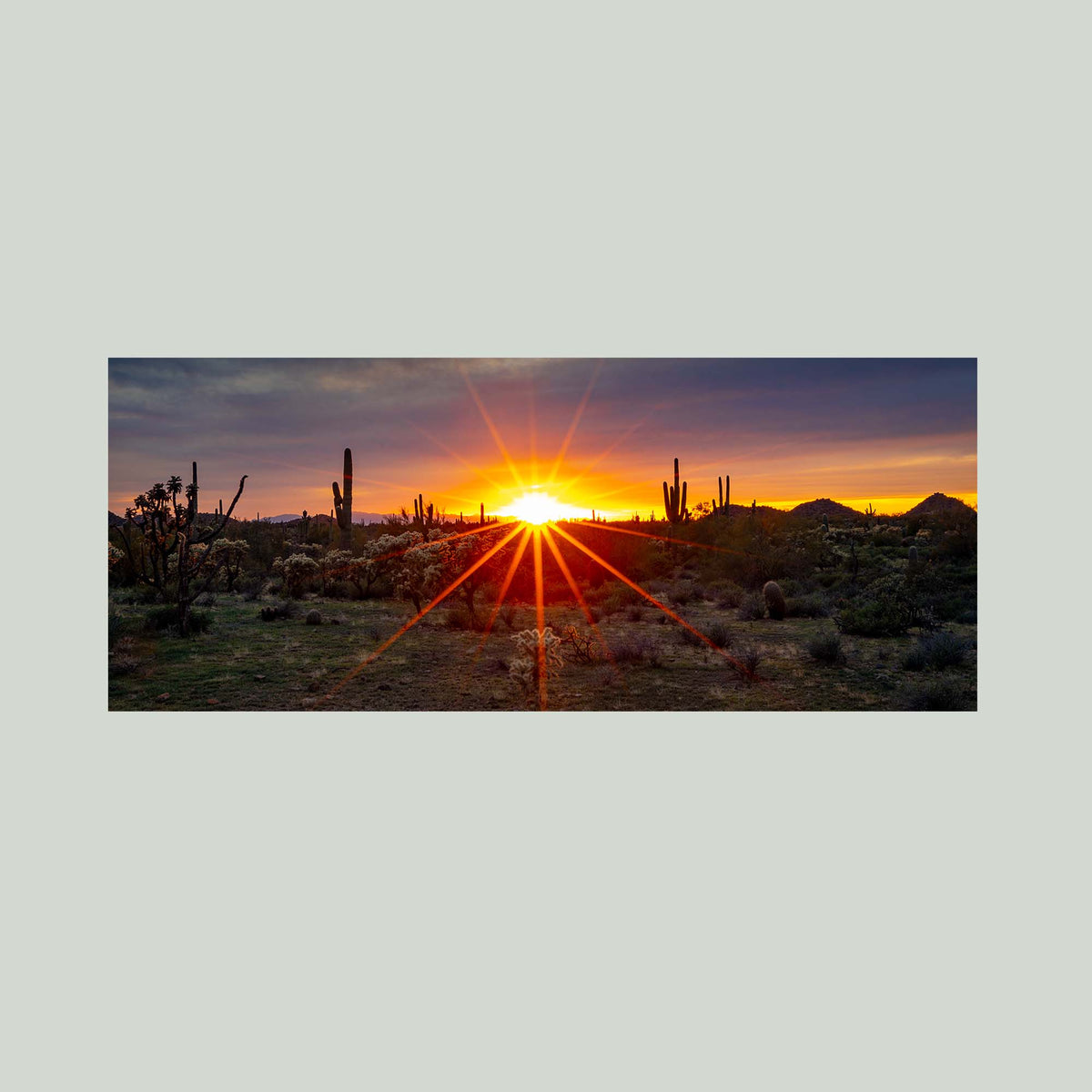 Where the Desert Exhales, a sunset sunburst over saguaro and cholla cacti in the Sonoran Desert of Arizona, as an unframed print