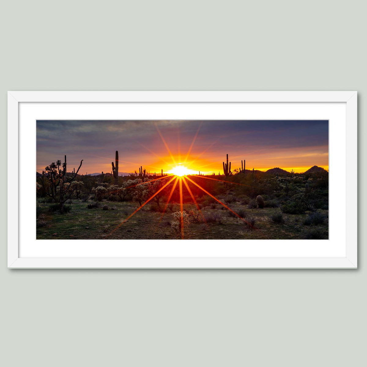 Where the Desert Exhales, a sunset sunburst over saguaro and cholla cacti in the Sonoran Desert of Arizona, in a white frame with a white mat