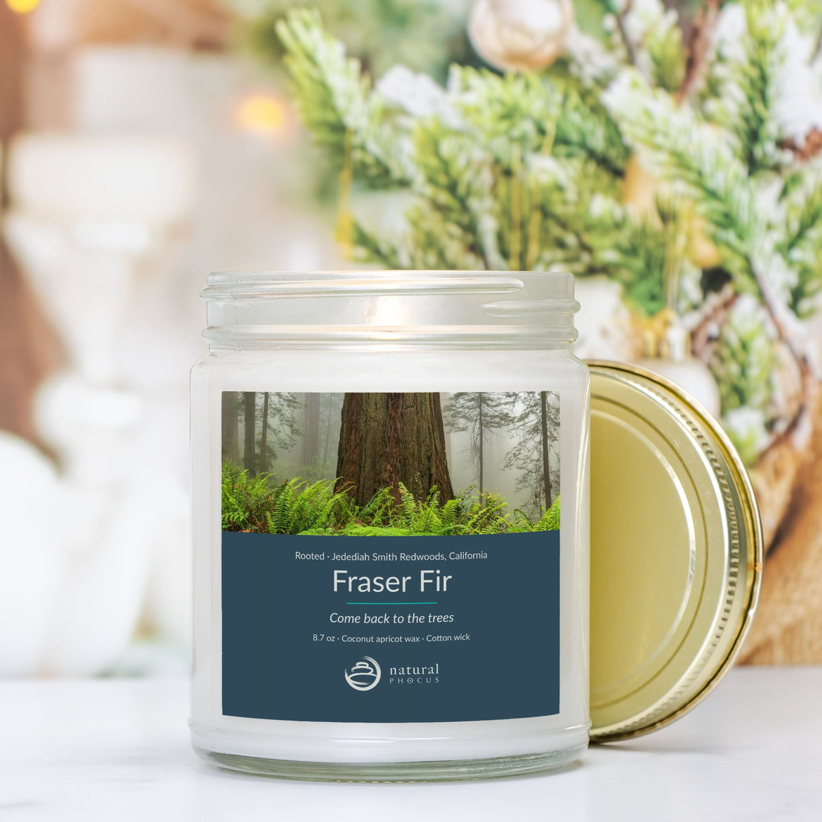 Rooted Candle in Fraser Fir, a clear glass jar candle with a gold lid, labeled with a photograph of a redwood trunk rising from ferns in the mist at Jedediah Smith Redwoods State Park, California