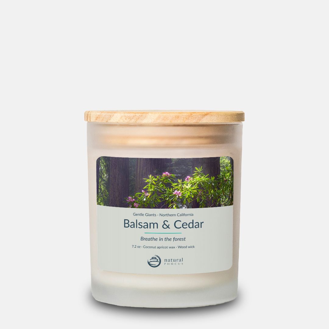 Gentle Giants Candle in Balsam and Cedar, a frosted glass candle with a maple wood lid, labeled with a photograph of pink rhododendron blossoms in front of redwood trunks in Northern California
