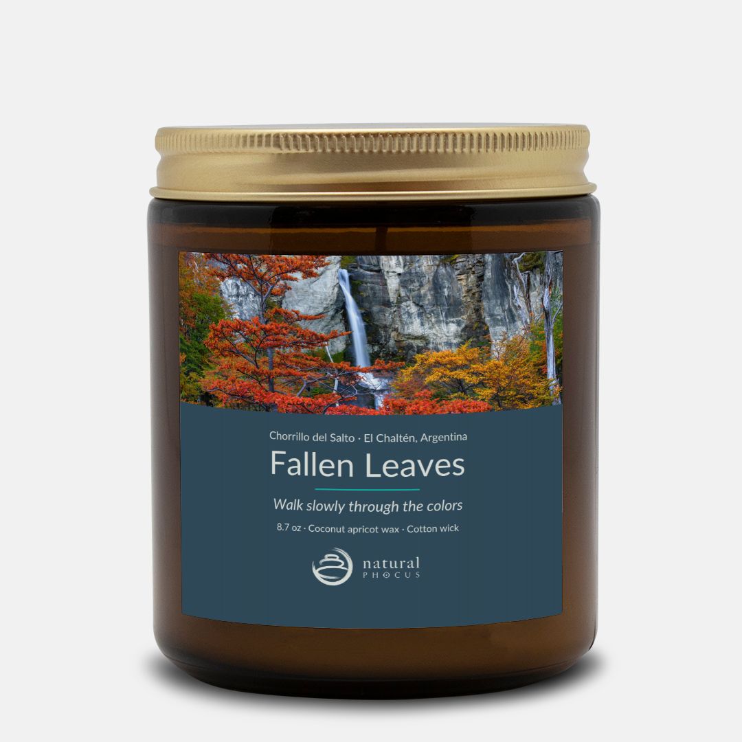 Chorrillo del Salto Candle in Fallen Leaves, an amber glass jar candle with a gold lid, labeled with a photograph of a waterfall framed by red and gold autumn trees near El Chaltén, Argentina