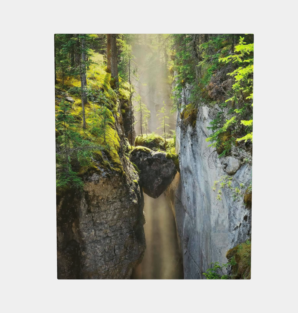 Heart of the Forest Canvas Art