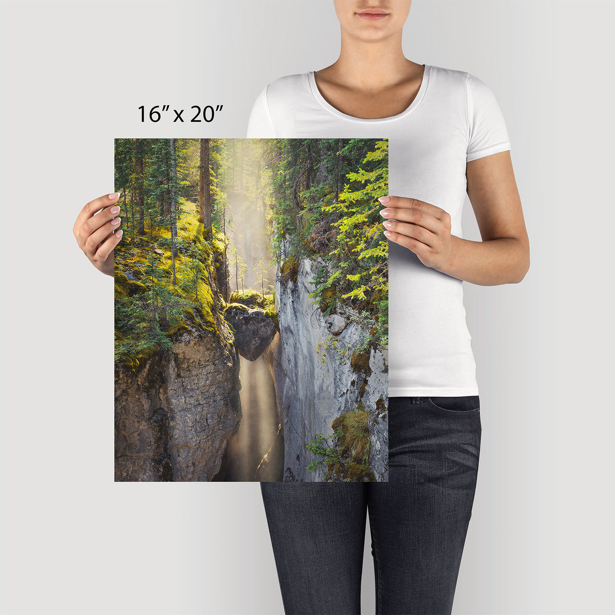 Heart of the Forest Canvas Art