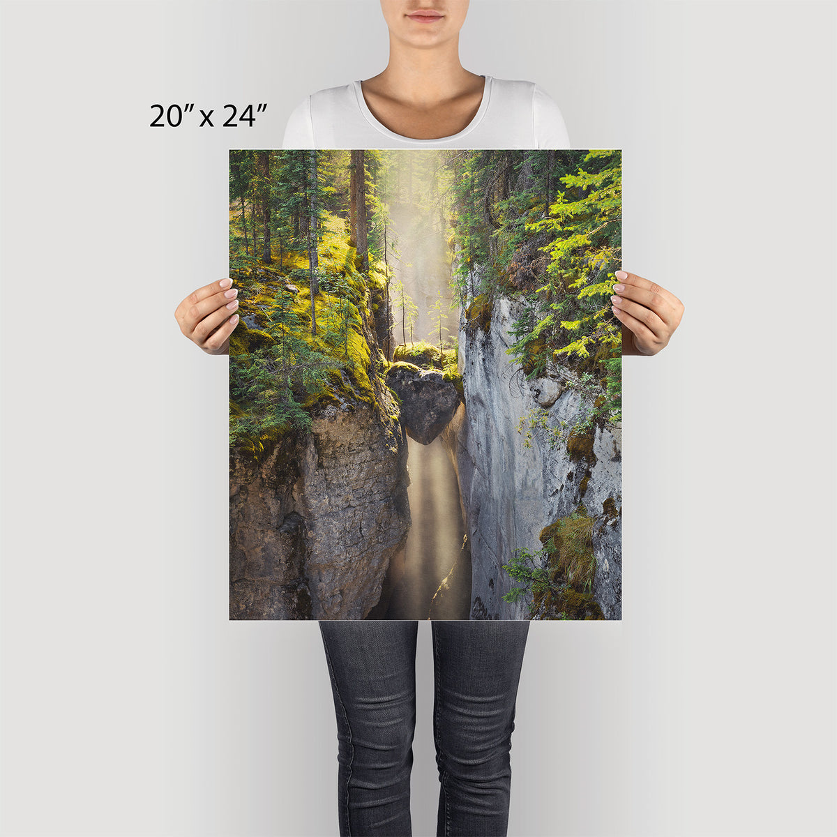 Heart of the Forest Canvas Art