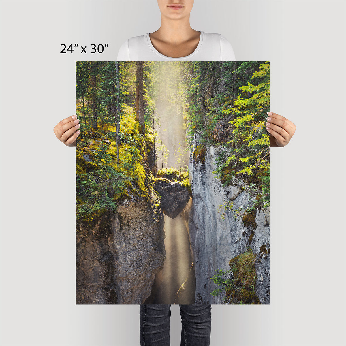 Heart of the Forest Canvas Art