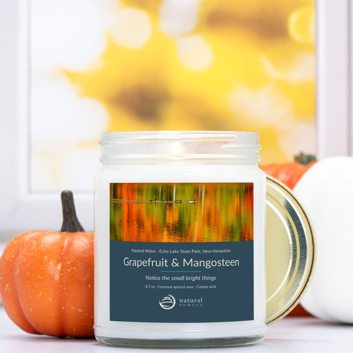 Painted Water Candle in Grapefruit and Mangosteen, a clear glass jar candle with a gold lid, labeled with a photograph of four geese swimming across autumn reflections at Echo Lake State Park, New Hampshire
