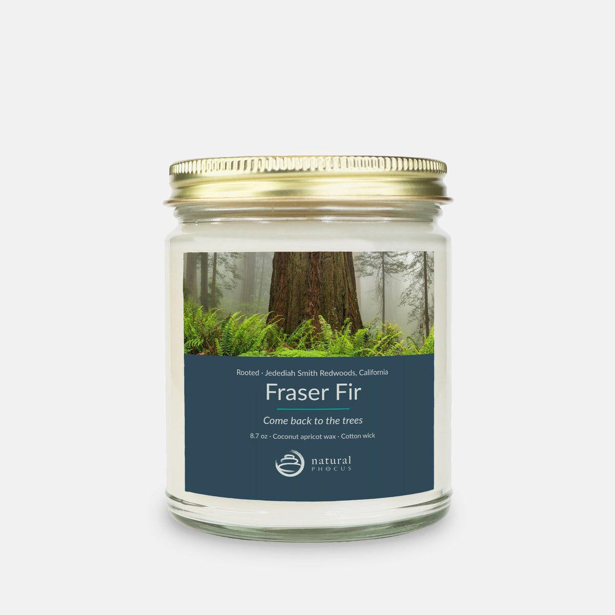 Rooted Candle in Fraser Fir, a clear glass jar candle with a gold lid, labeled with a photograph of a redwood trunk rising from ferns in the mist at Jedediah Smith Redwoods State Park, California