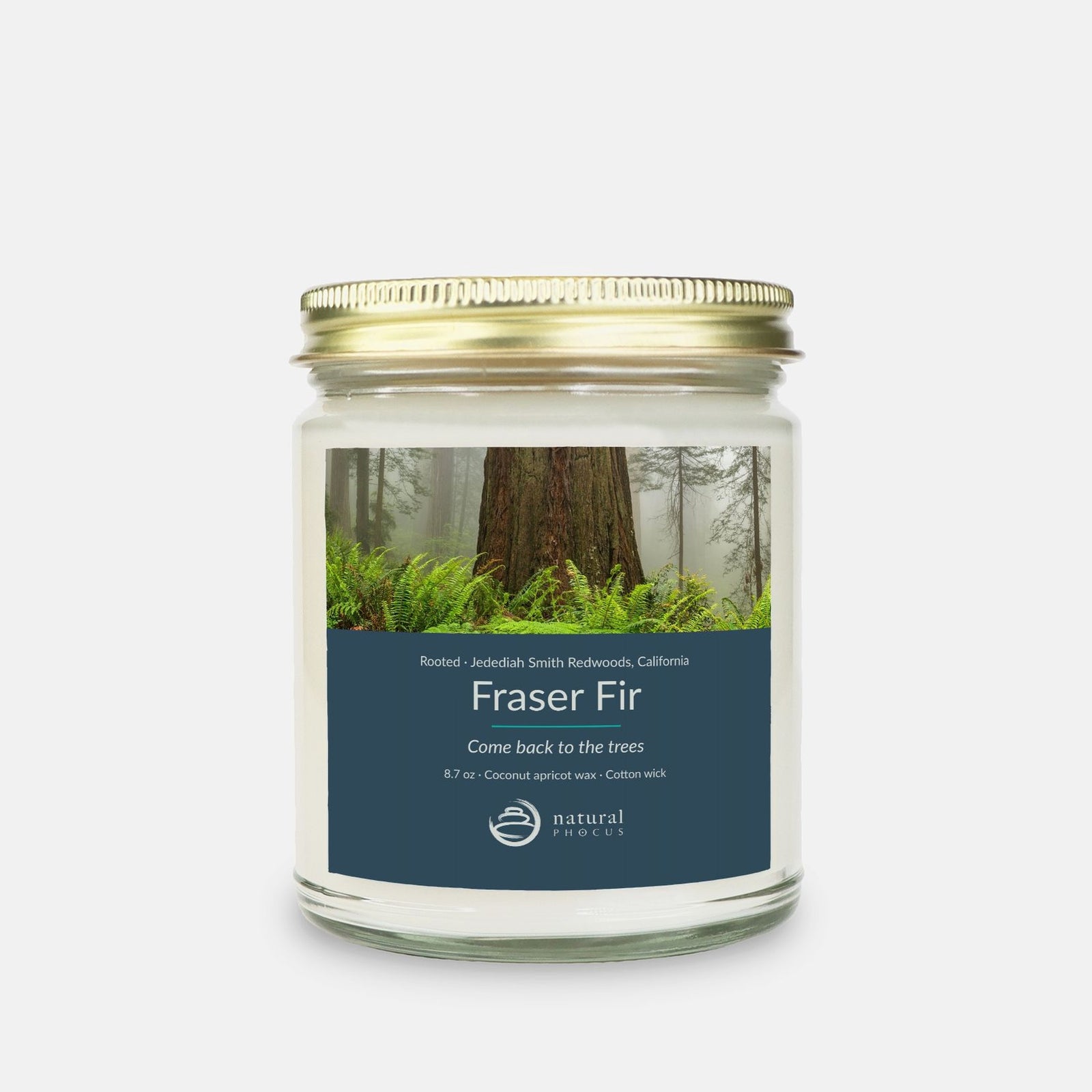 Rooted Candle in Fraser Fir, a clear glass jar candle with a gold lid, labeled with a photograph of a redwood trunk rising from ferns in the mist at Jedediah Smith Redwoods State Park, California
