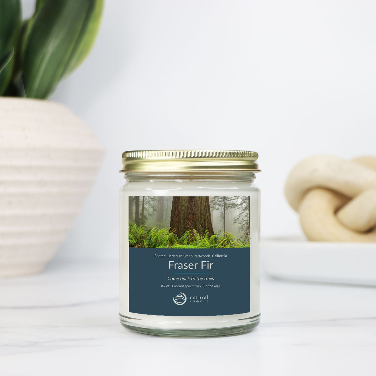 Rooted Candle in Fraser Fir, a clear glass jar candle with a gold lid, labeled with a photograph of a redwood trunk rising from ferns in the mist at Jedediah Smith Redwoods State Park, California