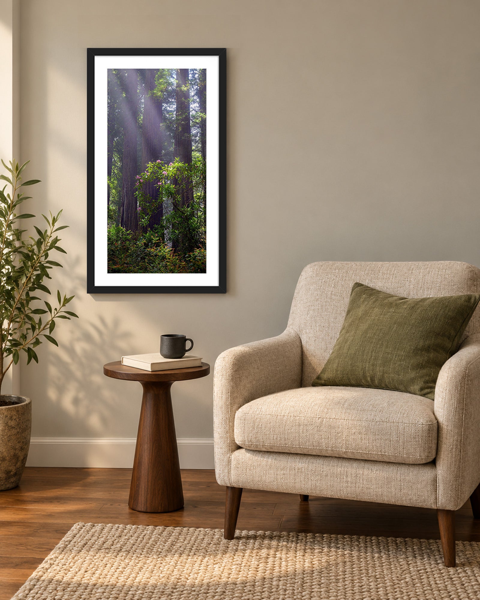 Gentle Giants, misty redwoods with a blooming pink rhododendron in Northern California, in a black frame shown in a home setting