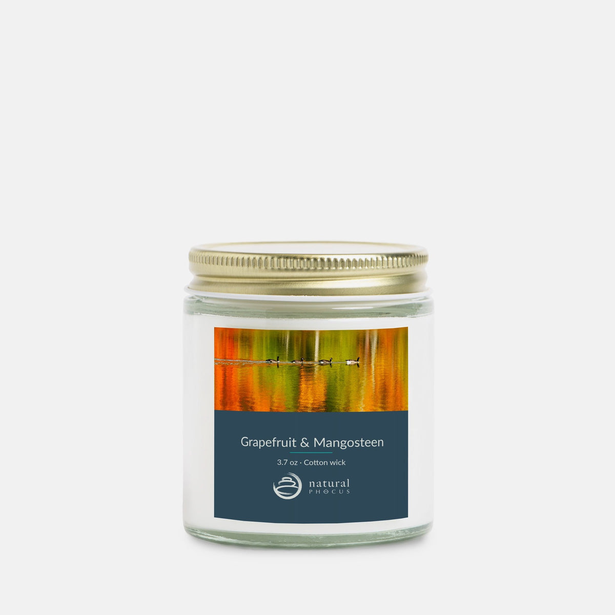 Painted Water Mini Candle in Grapefruit and Mangosteen, a 4 oz clear glass jar candle with a gold lid, labeled with a photograph of four geese swimming across autumn reflections at Echo Lake State Park, New Hampshire
