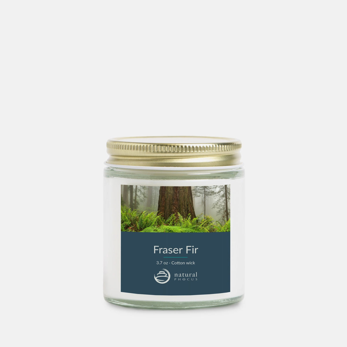 Rooted Mini Candle in Fraser Fir, a 4 oz clear glass jar candle with a gold lid, labeled with a photograph of a redwood trunk rising from ferns in the mist at Jedediah Smith Redwoods State Park, California