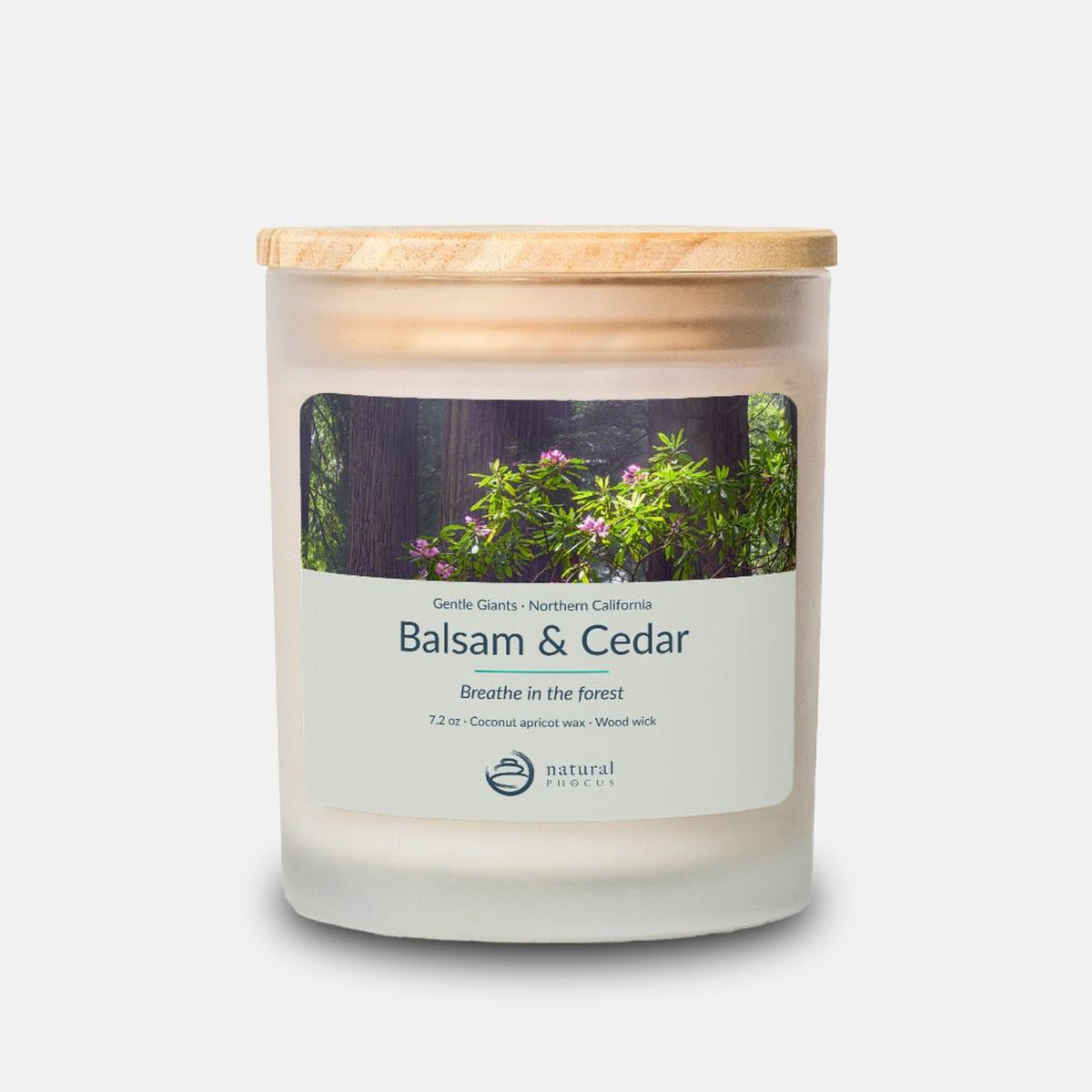 Gentle Giants Candle in Balsam and Cedar, a frosted glass candle with a maple wood lid, labeled with a photograph of pink rhododendron blossoms in front of redwood trunks in Northern California