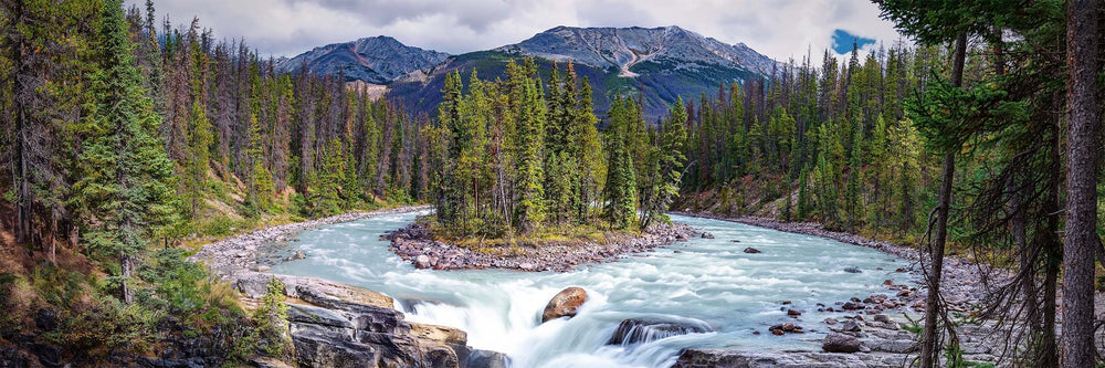 Sunwapta Falls pouring through a forested gorge in Jasper National Park, Alberta, Canada